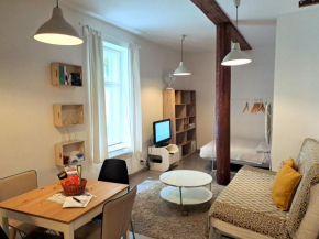 Magnificent apartment in the center of Prague